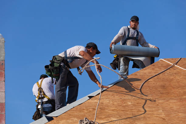 Professional Roofing Contractor in Zwolle, LA