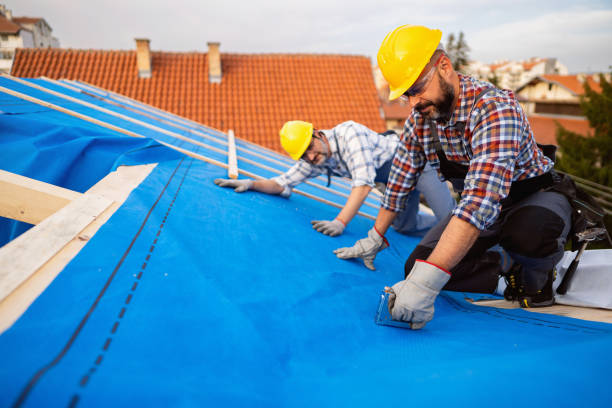 Roof Waterproofing Services in Zwolle, LA