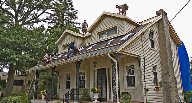 Best Shingle Roofing Installation  in Zwolle, LA
